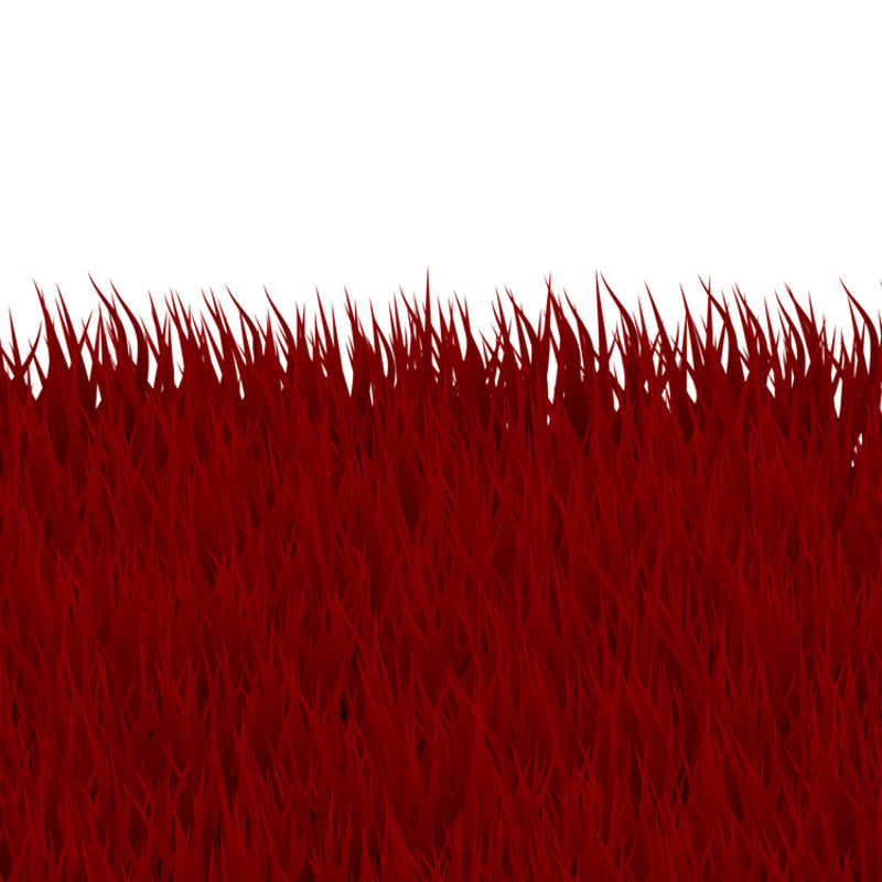 Carex - Siergras Rood – Teeninga Palmen