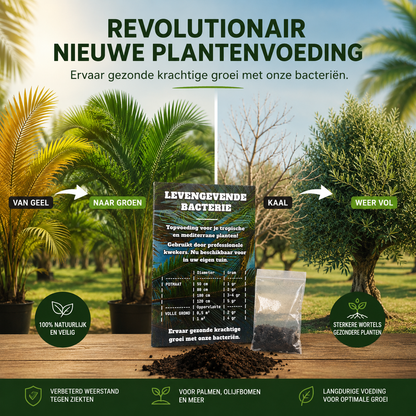 Bacterial Nutritional Granules